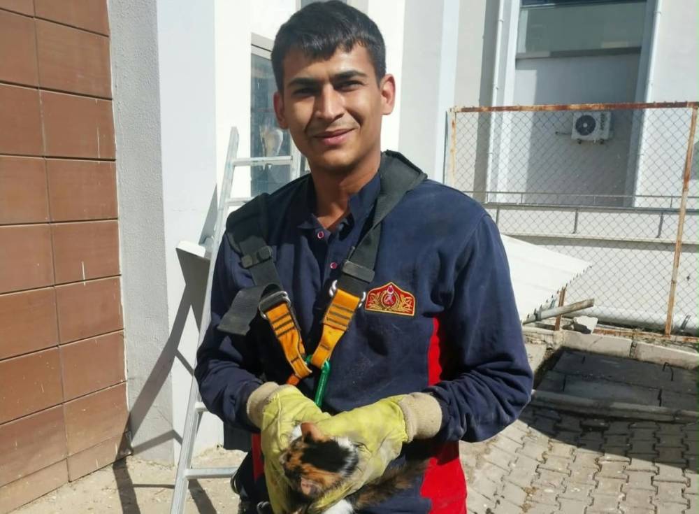 Hastanede havalandırma boşluğuna d&uuml;şen kediyi itfaiye kurtardı 