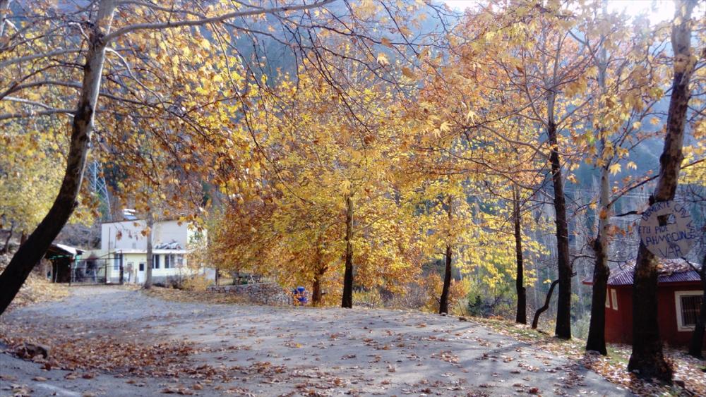 Adana'daki Obruk Şelalesi Tabiat Parkı sonbahar renklerine büründü