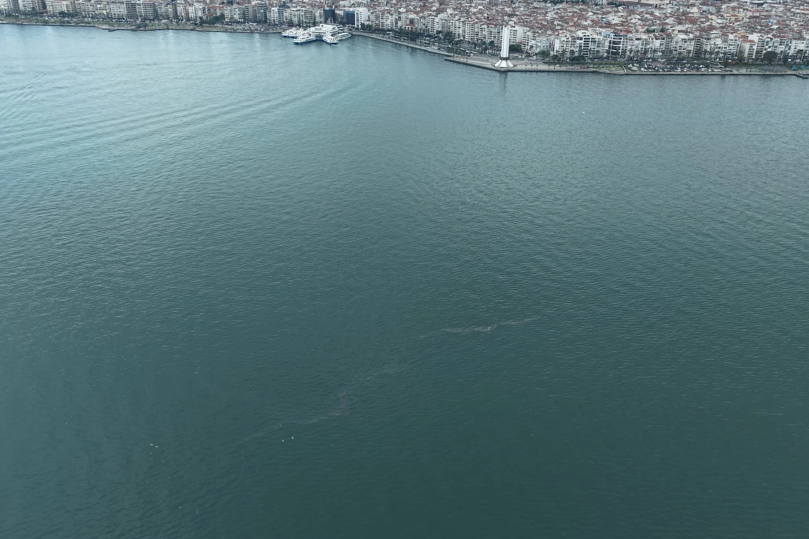 İzmir K&ouml;rfezi&rsquo;nde dış kaynaklı kirliliğin &ouml;n&uuml;ne ge&ccedil;ilemiyor