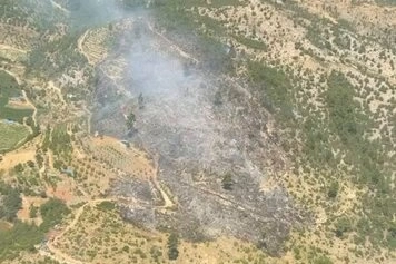 Bursa ve İzmir&rsquo;de 3 yangın kontrol altında
