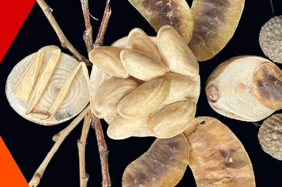 İzmit Oyuncak M&uuml;zesi&rsquo;nde yaratıcı at&ouml;lyeler s&uuml;r&uuml;yor