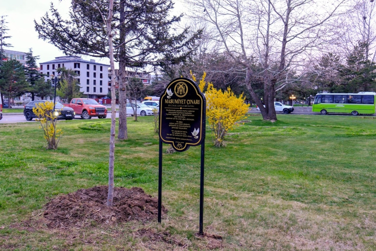 Masumiyet &ccedil;ınarları, kaybedilen canların hatırasını yaşatacak
