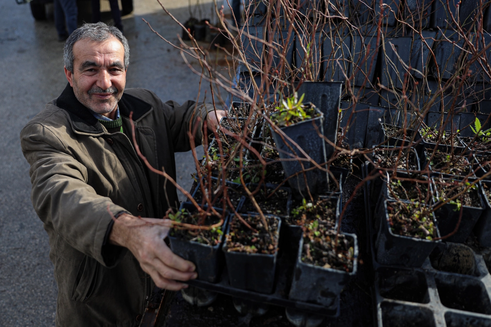 Bursa B&uuml;y&uuml;kşehir'den kırsala fide ve fidan desteği s&uuml;r&uuml;yor