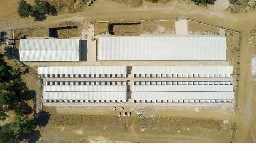  Can Dostlar Yeni Yaşam Merkezi'ne Kavuşuyor