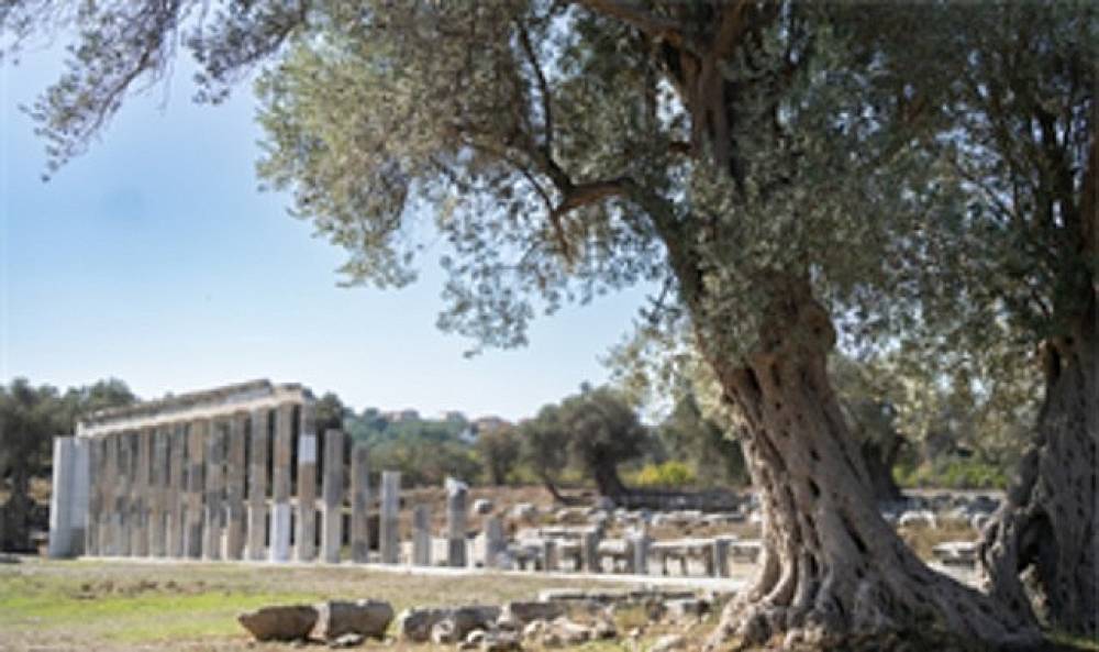 Teos'un taşları 2 bin 200 yıllık tarihi g&uuml;n y&uuml;z&uuml;ne &ccedil;ıkarıyor