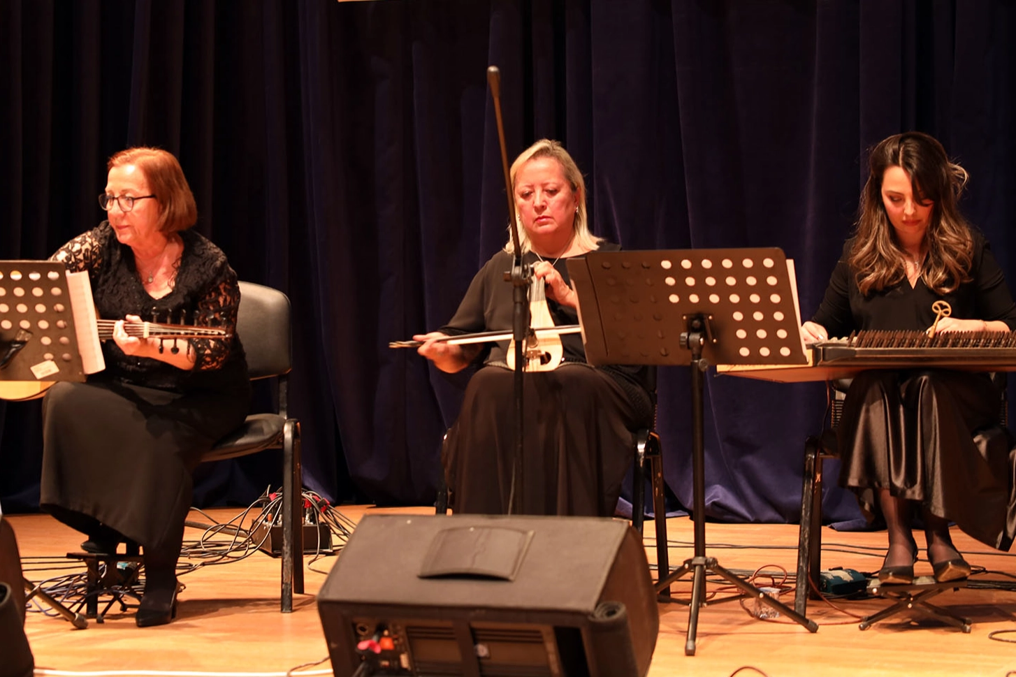 Sakarya'da&nbsp;&ldquo;Unutulmayan Şarkılar&rdquo; yoğun ilgi g&ouml;rd&uuml;