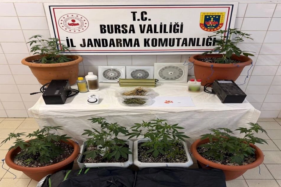 Bursa Nil&uuml;fer'de jandarmadan uyuşturucu operasyonu