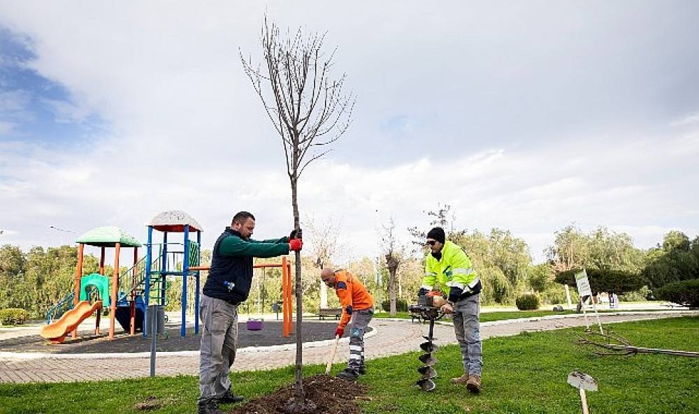 Narlıdere, Peyzaj &Ccedil;alışmalarıyla G&uuml;zelleşiyor