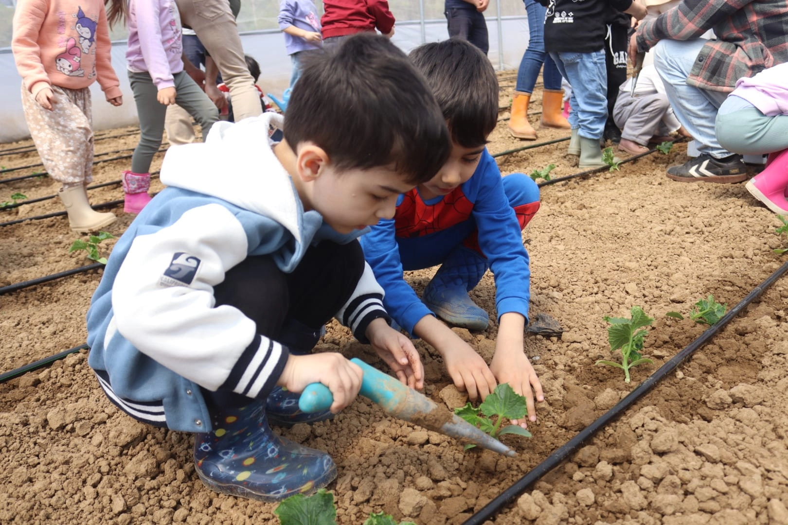 İzmitli &ccedil;ocuklar ilk fidelerini &ccedil;ocuk serasında ekti