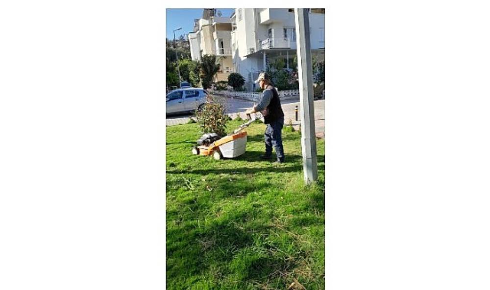 Didim Belediyesi Kent Genelinde &Ccedil;evre Bakım &Ccedil;alışmalarını S&uuml;rd&uuml;r&uuml;yor