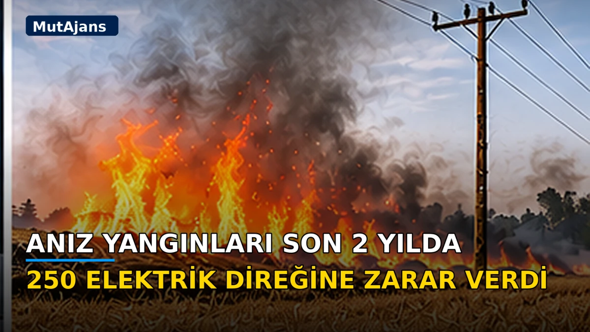 Anız yangınları son 2 yılda 250 elektrik direğine zarar verdi