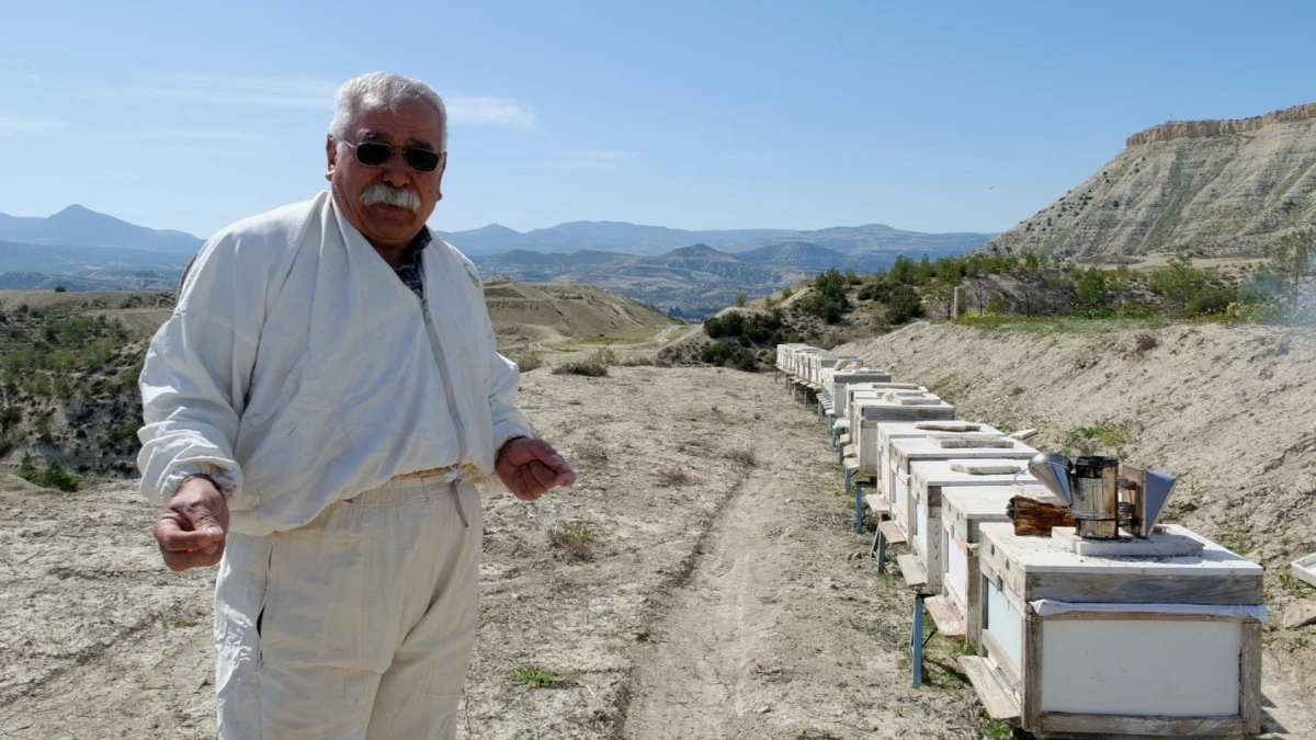 Arıcıların emeği yerde kaldı: Mut&rsquo;ta arı kayıpları y&uuml;zde 60&rsquo;ı buldu