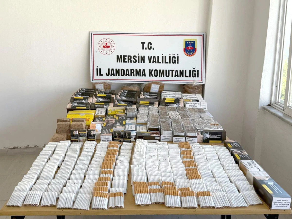 Bozyazı'da jandarmadan kaçak makaron operasyonu 