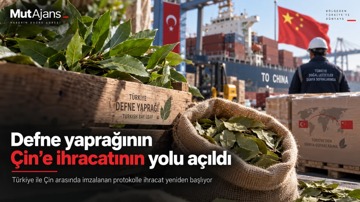 Defne yaprağının &Ccedil;in&rsquo;e ihracatının yolu a&ccedil;ıldı