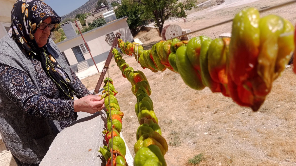 KIŞLIK HAZIRLIKLAR BAŞLADI