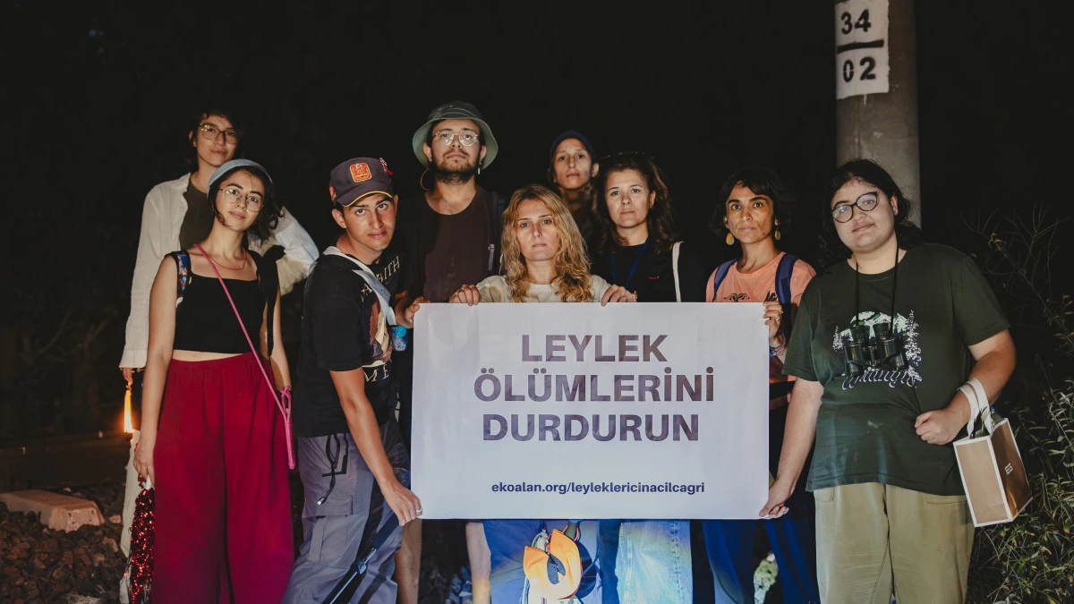  K&uuml;&ccedil;&uuml;k&ccedil;ekmece&rsquo;de bir haftada 101 leylek &ouml;ld&uuml;