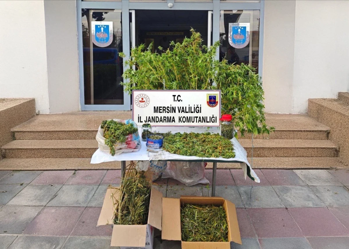 Mersin'de jandarmadan uyuşturucu madde operasyonu 