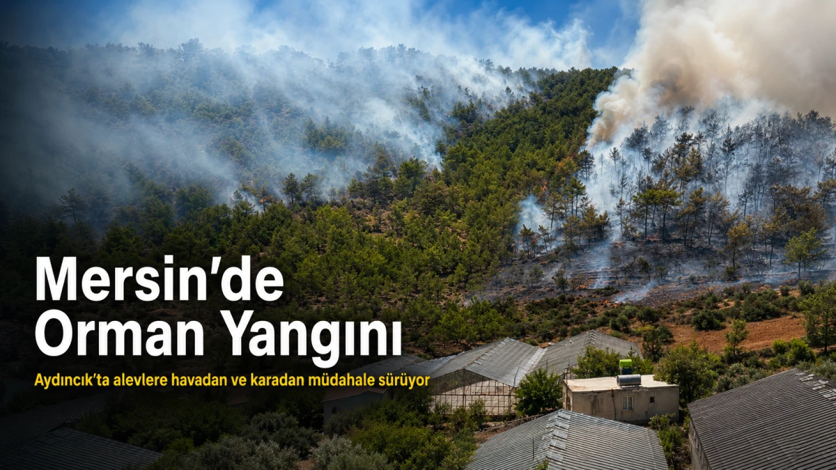 Mersin&rsquo;in Aydıncık il&ccedil;esinde &ccedil;ıkan orman yangınına havadan ve karadan m&uuml;dahale ediliyor