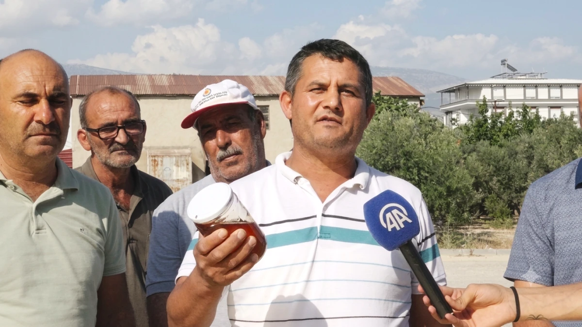 Mersin&rsquo;in Mut il&ccedil;esinde arıcılar sağlıklı bal ambalajı i&ccedil;in g&uuml;&ccedil;lerini birleştirdi