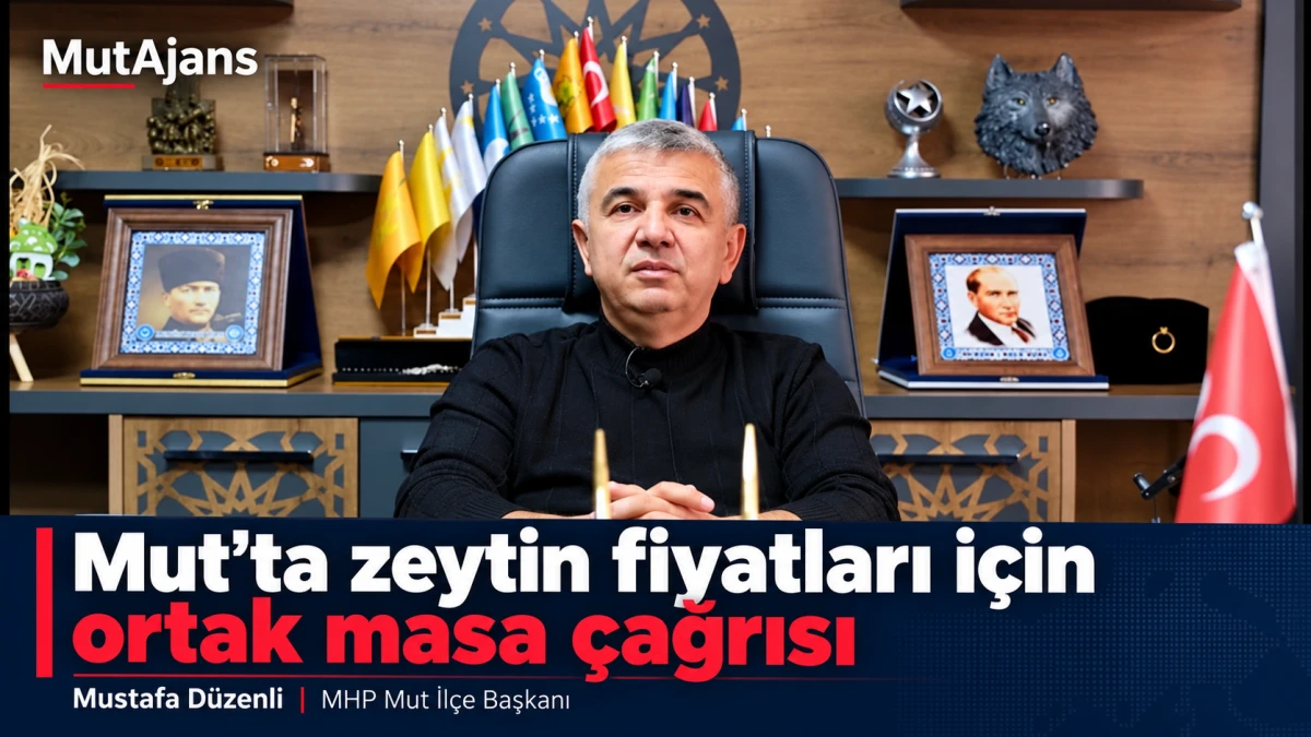Mersin&rsquo;in Mut il&ccedil;esinde MHP&rsquo;den zeytin fiyatları i&ccedil;in ortak masa &ccedil;ağrısı