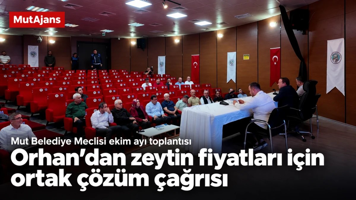 Mersin&rsquo;in Mut il&ccedil;esinde Orhan&rsquo;dan zeytin fiyatları i&ccedil;in ortak &ccedil;&ouml;z&uuml;m &ccedil;ağrısı