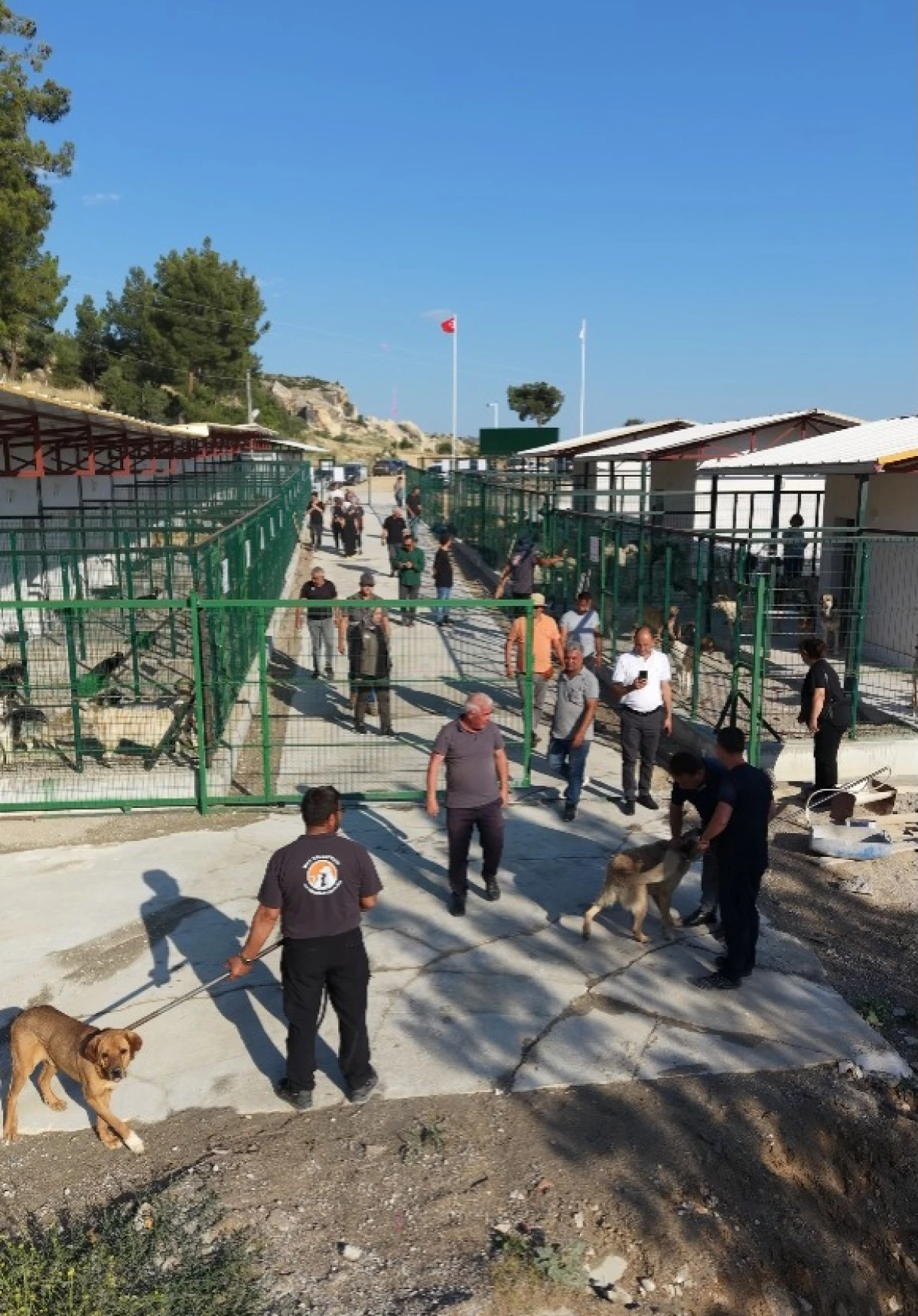 Mut Belediyesi sahipsiz hayvanlar i&ccedil;in doğal yaşam alanını hizmete a&ccedil;tı