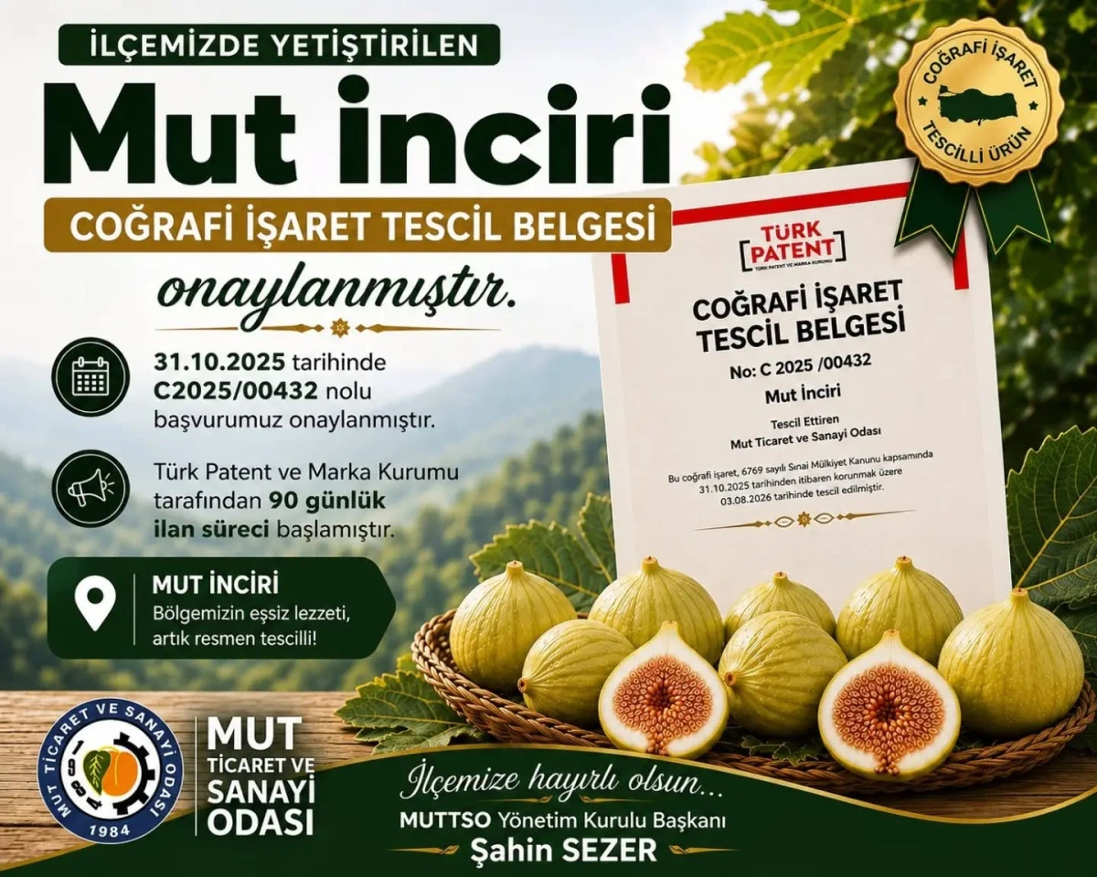 Mut İnciri coğrafi işaretle tescillendi