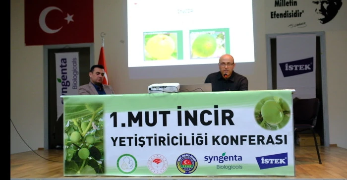 Mut İnciri Değerleniyor: Uzmanlar &Uuml;reticilerle Buluştu