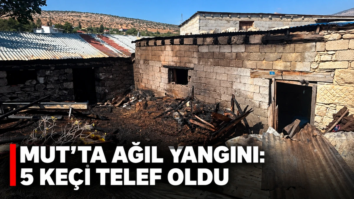 Mut&rsquo;ta ahıra sı&ccedil;rayan yangında 5 ke&ccedil;i telef oldu