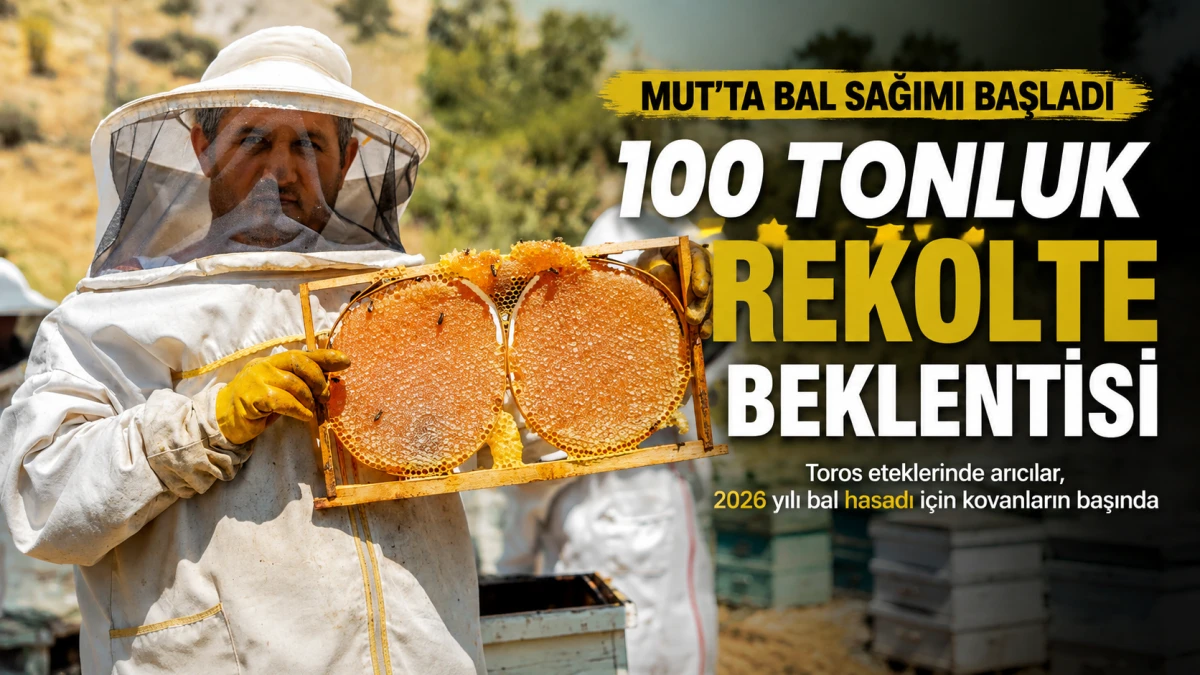 Mut&rsquo;ta arıcılar 100 tonluk rekolte beklentisiyle bal sağımına başladı