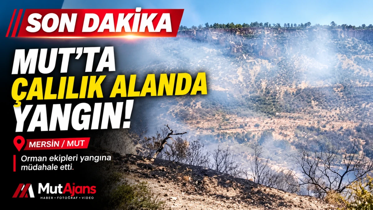 Mut&rsquo;ta &ccedil;alılık alanda yangın: Orman ekipleri m&uuml;dahale etti