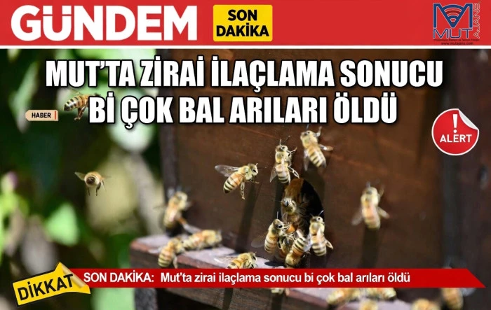  Mut&rsquo;ta zirai ila&ccedil;lama sonucu bi &ccedil;ok bal arıları &ouml;ld&uuml; 