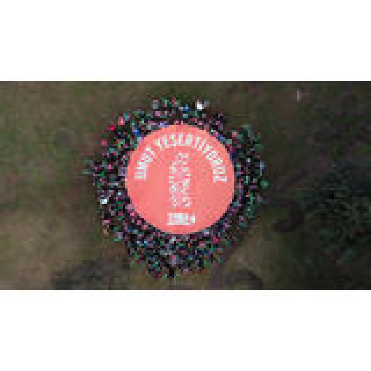 TEMA Vakfı g&ouml;n&uuml;ll&uuml;leri ve &ccedil;alışanları serbest bırakıldı