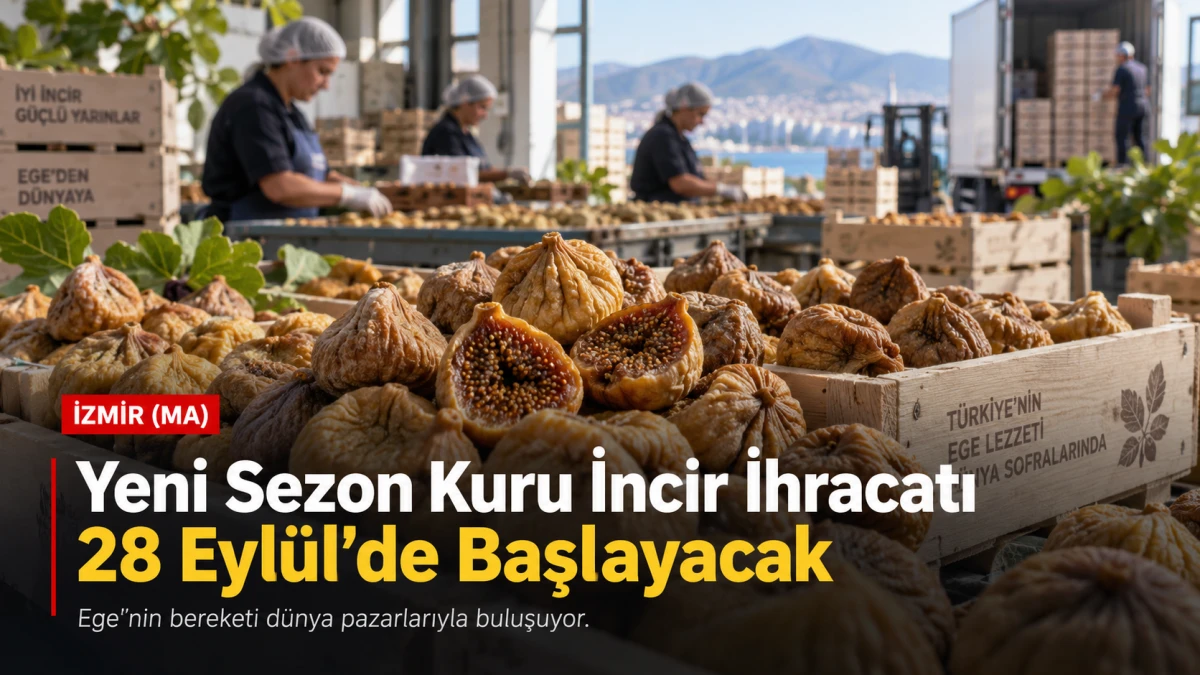 Yeni sezon kuru incir ihracatı 28 Eyl&uuml;l&rsquo;de başlayacak